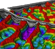 Salt tectonics Dec 14 LL